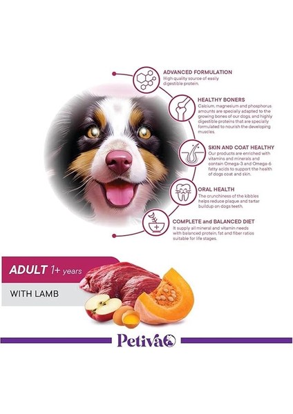 Yetişkin Köpekler Için Kuzu Etli Kuru Köpek Maması (3 Kg, Kuzu) fırsatları