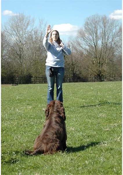 Köpek Eğitim Profesyonel Düdük fırsatları