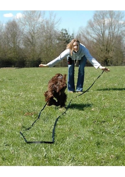 Köpek Eğitim Profesyonel Düdük indirimleri