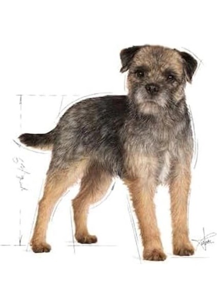 Sterilised Loaf Kısırlaştırılmış Köpek Maması (12 x 85 Gr) indirimleri