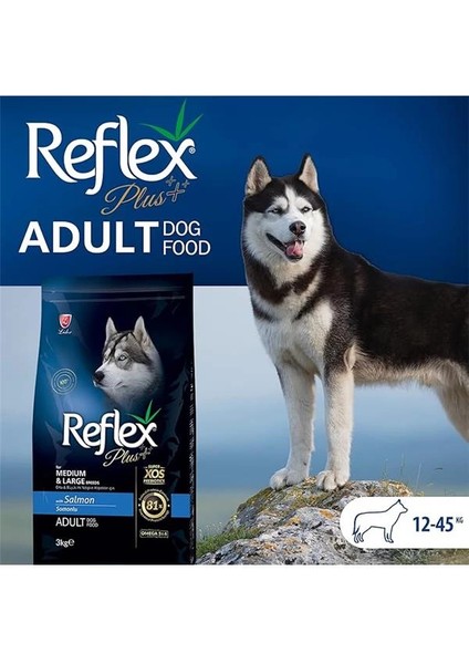 Plus Orta&büyük Irk Somonlu Yetişkin Köpek Maması 3 kg fırsatları