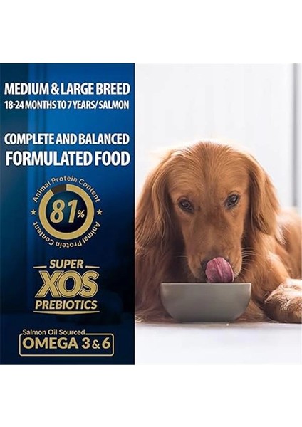 Plus Orta&büyük Irk Somonlu Yetişkin Köpek Maması 3 kg