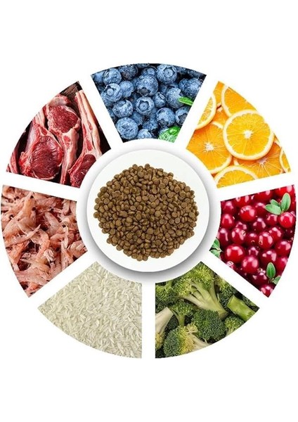 Perfect Start, Yavru Köpekler Için, Hipoalerjenik, Kuzu Etli ve Pirinçli Kuru Mama, 12 kg fiyatları