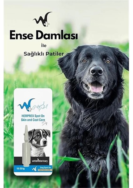 Köpek Damlası Bit ve Pire 10-20 kg 1ml fırsatları