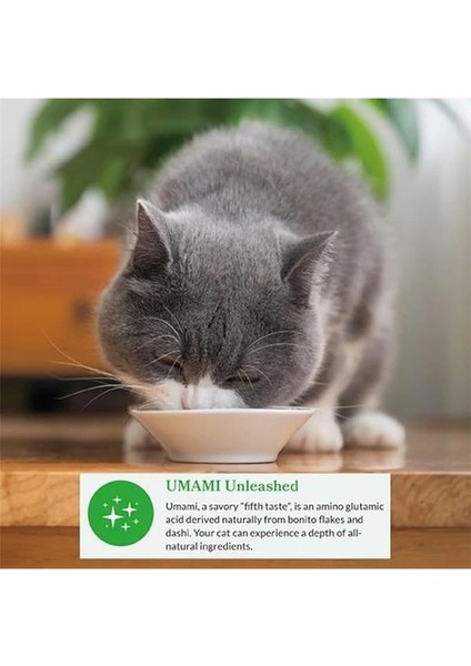 Dashi Delights Kedi Maması ISLAK%100 Doğal Tavuk Eti | Tahıl Içermez, Şekersiz, Yapay Aroma fırsatları