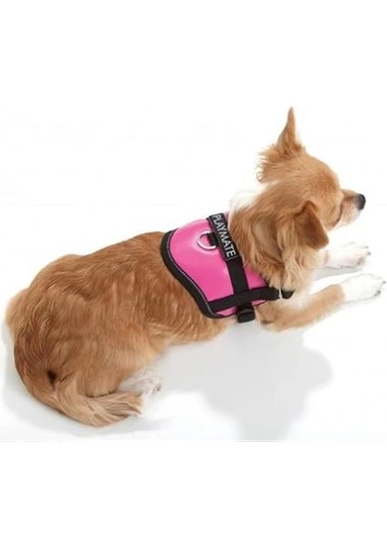 Reflektörlü Göğüs Tasması, S 36-46 Cm, Siyah modelleri