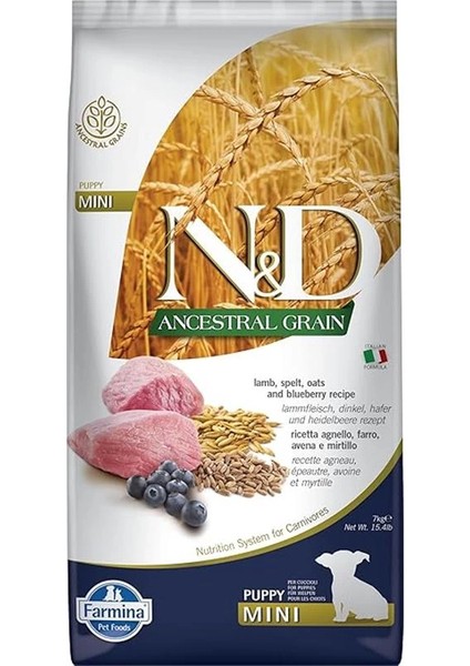 N&d Mini Puppy Düşük Tahıllı Kuzu Etli ve Yaban Mersinli Yavru Köpek Maması 7 kg