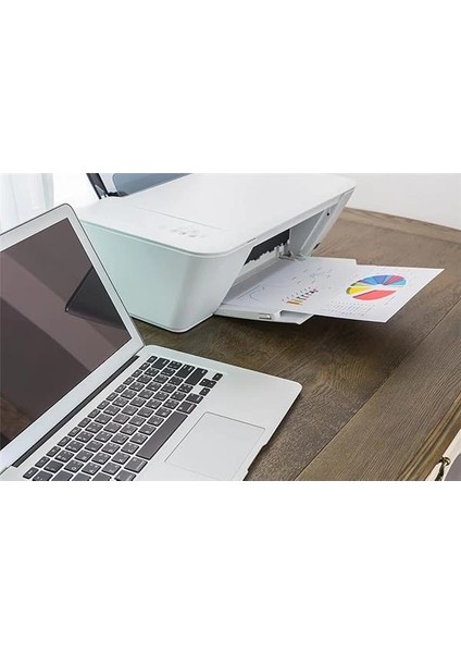 Nexup Label A4 Etiket Yapışkanlı | 20 Sayfa Adres Etiketi 210X297 mm - Çok Amaçlı Universal fırsatları