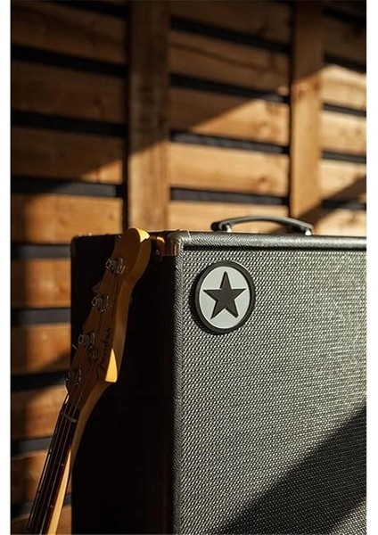 Unity Bass U30 Kombo Bas Gitar Amfi