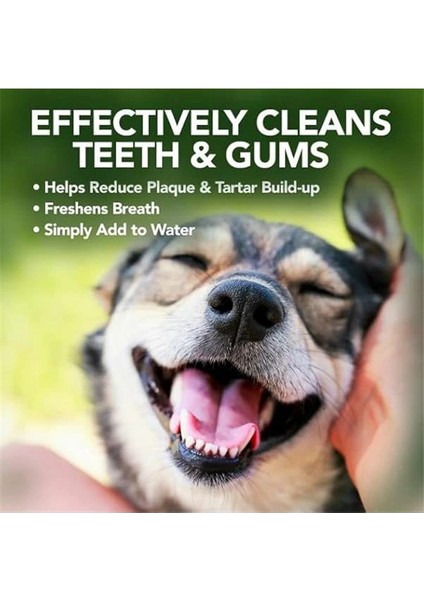 Vet's Best Köpekler Için Ağız Bakım Suyu 500 ml fırsatları