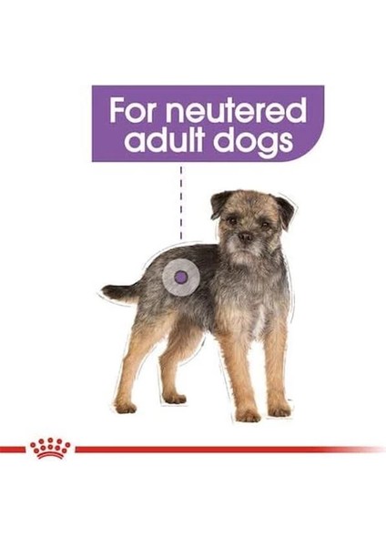 Ccn Mini Sterilised 3 kg Köpek Maması