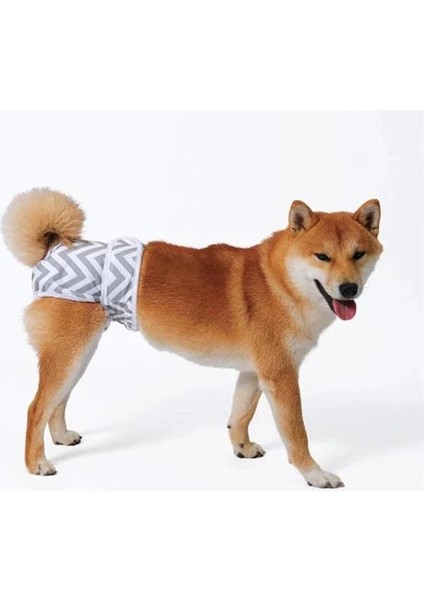 M-Pets Dişi Köpekler Için Yıkanabilir Külot (M)