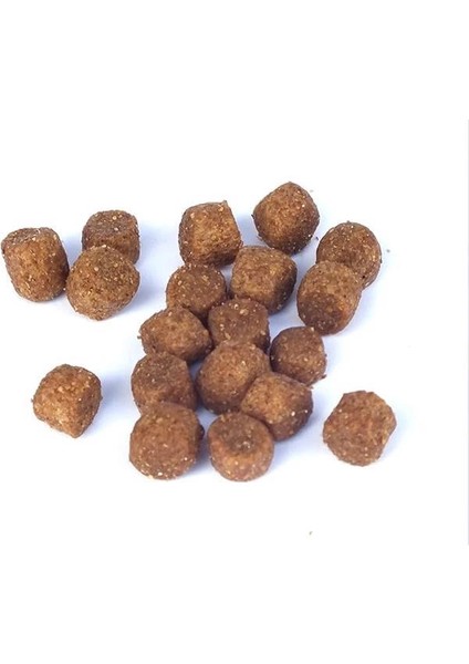 Biftekli Yavru Köpek Maması 15 kg modelleri