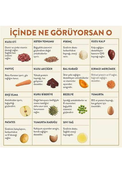 Fresh Kuzu Etli Taze Köpek Yemeği, 250GR modelleri