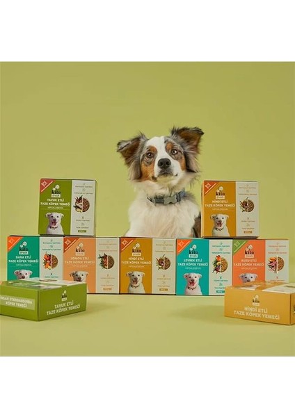 Fresh Kuzu Etli Taze Köpek Yemeği, 250GR