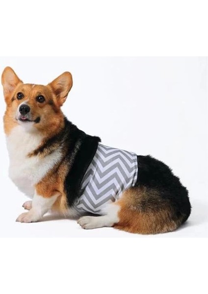 M-Pets Erkek Köpekler Için Yıkanabilir Külot (S)