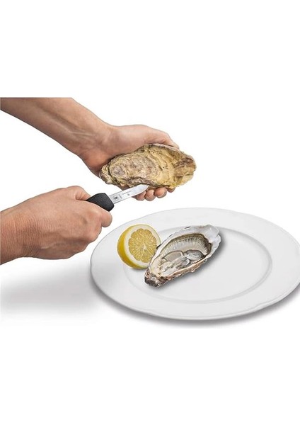 7.6394 Istiridye Bıçağı fırsatları