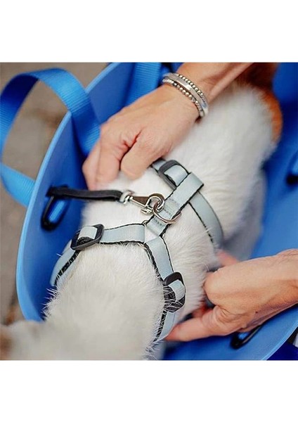 Küçük Köpekler ve Kediler Için Köpek Taşıma Çantası, Evcil Hayvanlar Için Taşıma Çantası fırsatları