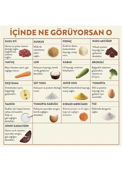 Fresh Kuzu Etli Taze Kedi Yemeği modelleri