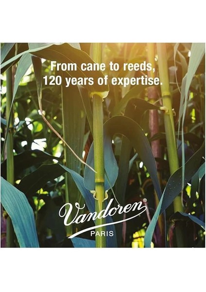 SR302R Java Filed Kırmızı Kesim Soprano Saksafon Kamışları (Güç 2) (10'lu Paket)