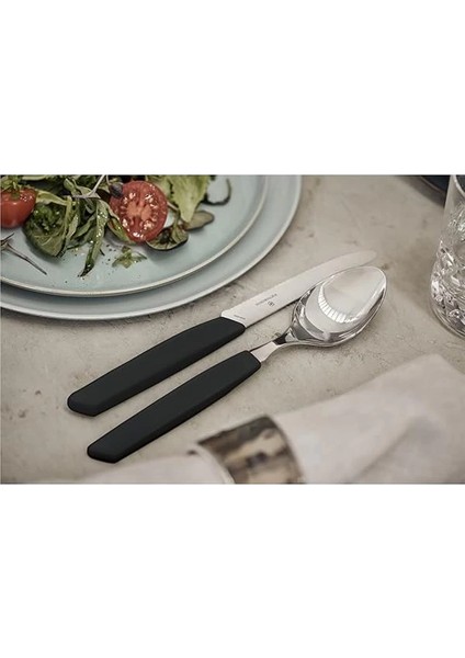 ​ 6.9093.12W.24 Swiss Modern 24 Parça Masa Seti indirimleri