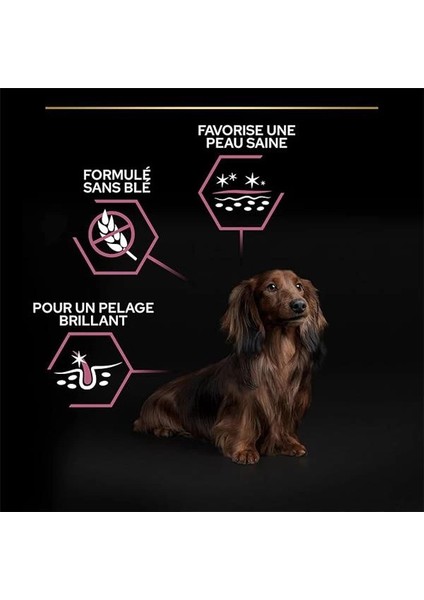 Small&mini Yetişkin Küçük Irk Köpek Maması Somonlu 7kg indirimleri