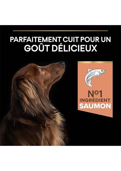 Small&mini Yetişkin Küçük Irk Köpek Maması Somonlu 7kg