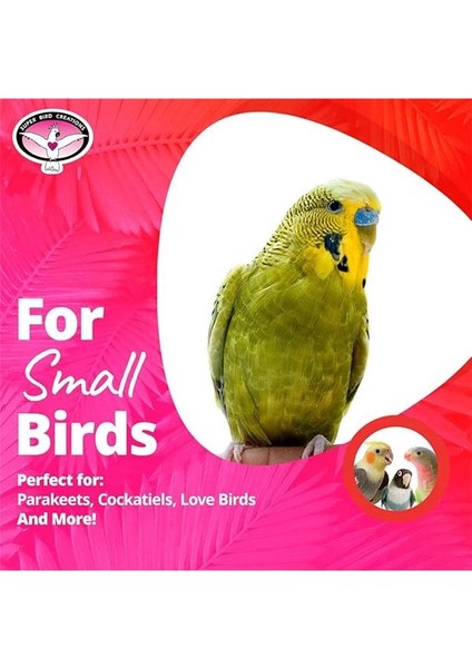 SB747 Mini Uçan Trapez Kuş Oyuncağı, Küçük Kuş Boyutu, 6 "x 7" x 9" modelleri