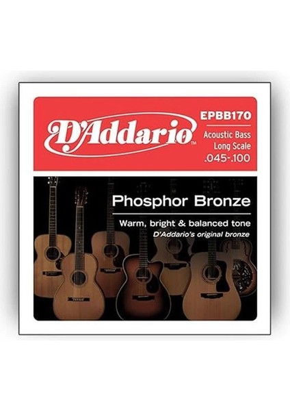 D'addario EPBB170 Akustik Bas Gitar Tel Seti, Long Scale, 45-100, Ph