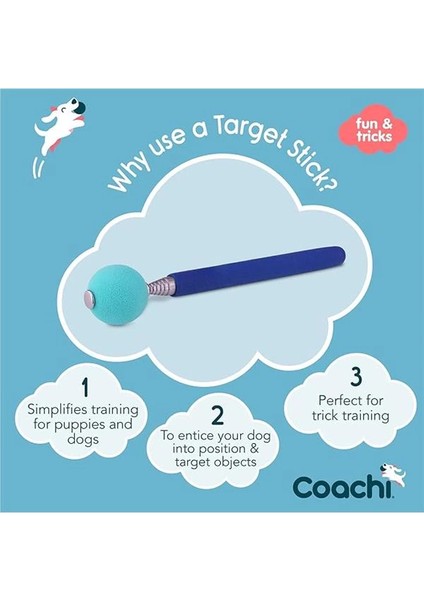 Company Of Animals Target Stick, Telescopic Design With Large Ball For Target, Dog Accessory fiyatları