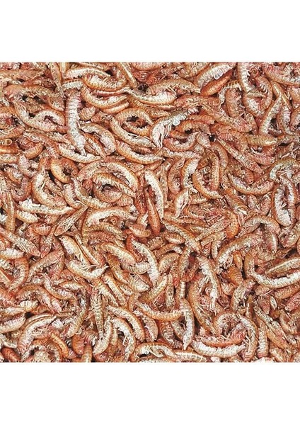 10323 Gammarus 100 Ml. 12 Gr. fiyatları