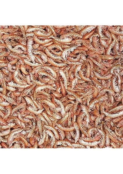 10323 Gammarus 100 Ml. 12 Gr. fırsatları