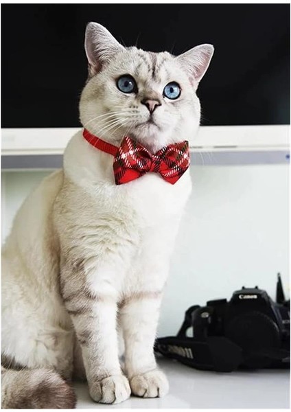 Ayarlanabilir Yeni Yıl Papyonlu Kedi Tasması (Çınçınlı) fiyatları