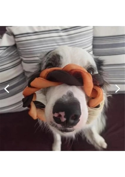 And Wall-E Köpekler Için Kolajen Halka Çubuk, Köpek Kemiği Köpek Kolajen Çubukları, Çiğneme modelleri