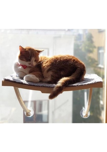 Ata Home Yeni Dizayn Lüx Cam ve Duvar Için Kedi Yatağı Vantuzlu