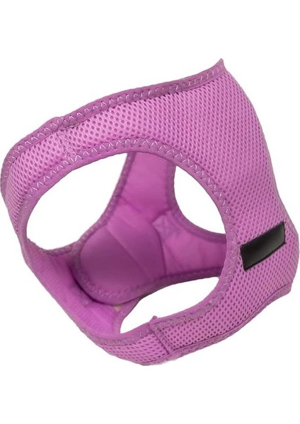 Popiço Kedi Köpek Gezdirme Göğüs Tasması (Lila, S) fiyatları