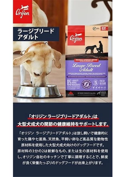 Adult Large Breed Dog 11,4 Kg- Büyük Irk Yetişkin Köpekler Için fiyatları