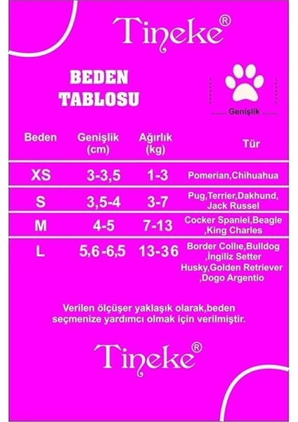 Cırtlı Köpek Ayakkabısı (Siyah, M Beden) modelleri