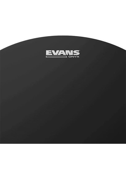 B10ONX2 10 Inc Tom Derisi fiyatları