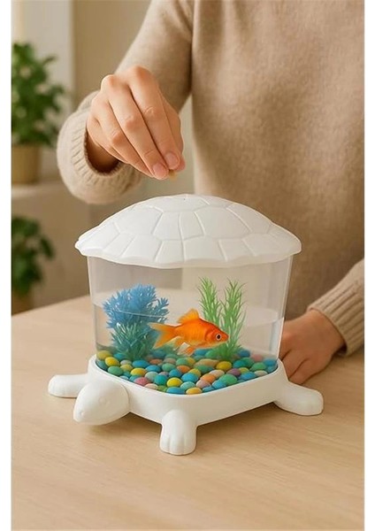® Mini Mika Akvaryum – 2.7 Lt Kapasiteli, Kırılmaz, Kapaklı, Dekoratif Süs Akvaryumu | Beta indirimleri