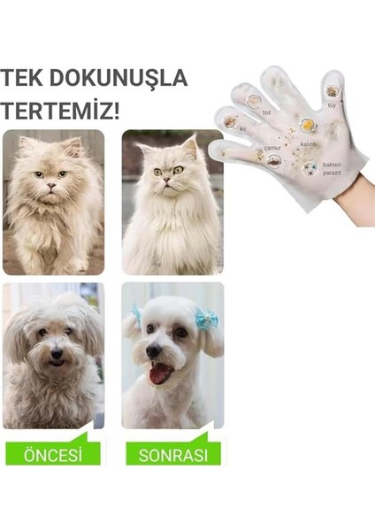 Eldiven Mendil 20 Adet | Yüz Göz Kulak Ağız Pati Arka Bölge Temizliği | Kedi Köpek fırsatları