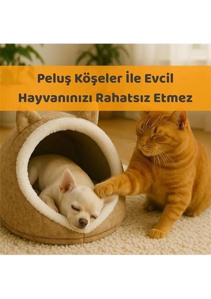 Beylini Kedi Köpek Evi Katlanabilir Evcil Hayvan Yatağı Peluş Yastık Hediyeli Dekoratif Kedi Köpek fırsatları