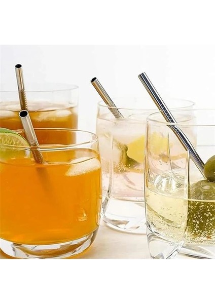 Paslanmaz Çelik Pipet, Temizleme Fırçası, Metal Pipet 2'li indirimleri