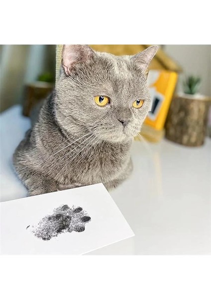 Evcil Hayvan Pati Izi Seti - Toksik Olmayan Mürekkepsiz Baskı Kiti - Kedi ve Köpek Için Uygun fiyatları
