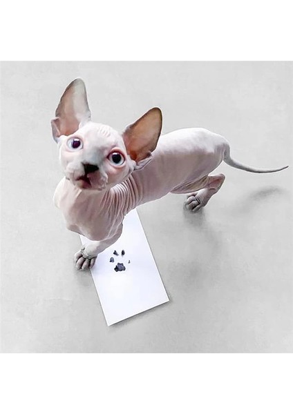 Evcil Hayvan Pati Izi Seti - Toksik Olmayan Mürekkepsiz Baskı Kiti - Kedi ve Köpek Için Uygun