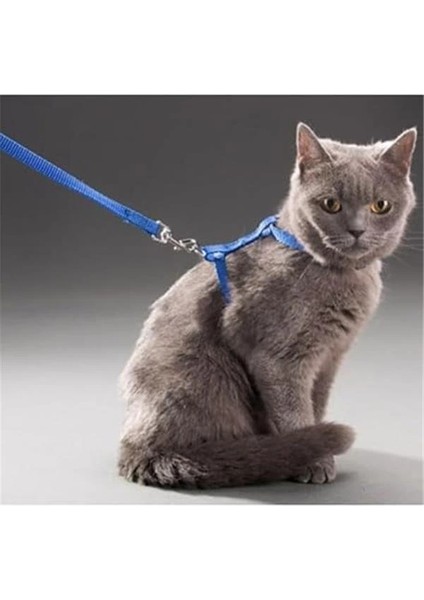 110 cm Vücuda Takılan Kedi Tasması, Konforlu ve Ayarlanabilir Tasarım, Güvenli Yürüyüşler