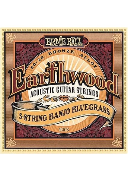 Earthwood 5-String Banjo Bluegrass Loop End 80/20 Bronz Akustik Gitar Telleri, Ölçü 9-20 fiyatları