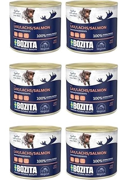 Somonlu Yaş Köpek Maması 625 gr 6 Adet fiyatları