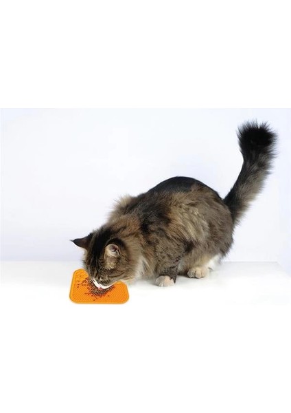 M-Pets Lecca Sıvı Ödül Matı Turuncu M fiyatları