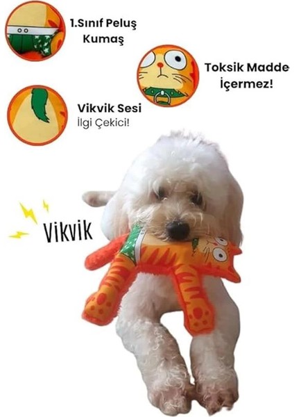 Havhav Mihav Sesli Köpek Oyuncağı Turuncu Renkli Kedi Şekilli Köpek Diş Kaşıma Oyuncağı modelleri
